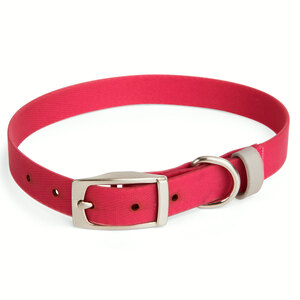 Youly Collar Liso Lavable Color Rojo con Hebilla para Perro, Mediano Youly Collar Liso Lavable Color Rojo con Hebilla para Perro, Mediano