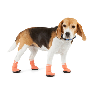 Youly Pre Spring Calcetines de Seguridad para Perro, Mediano Youly Pre Spring Calcetines de Seguridad para Perro, Mediano