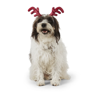 Merry Makings Diadema Navideña en Forma de Cuernos de Reno para Perro, Chica / Mediana Merry Makings Diadema Navideña en Forma de Cuernos de Reno para Perro, Chica / Mediana